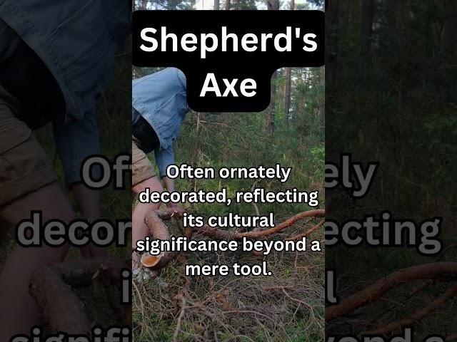 Axe Facts - Shepherds Axe #smallaxe  #axethrowing #didyouknow #vintageaxe