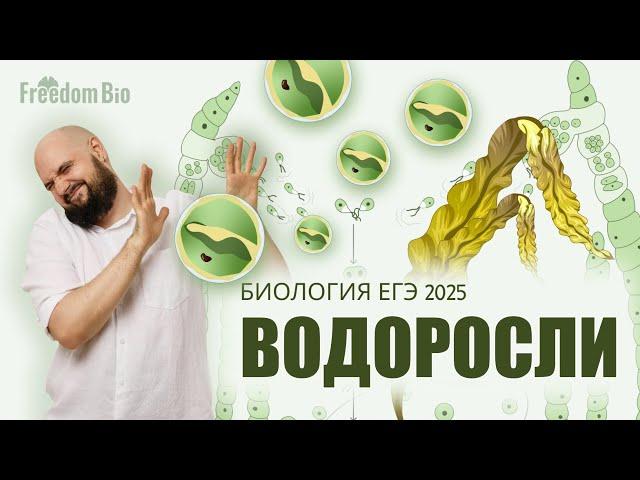 ВОДОРОСЛИ для ЕГЭ по биологии 2025 |Ботаника| ЕГЭ БИОЛОГИЯ 2025|Freedom|