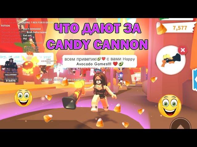  CANDY CANNON IS NOT VALUED MORE??? What's on offer for candy cannon in Adopt Me Roblox 