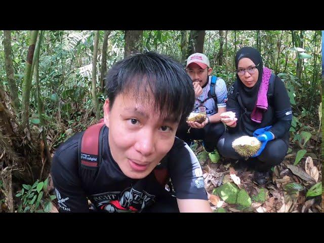 MARA KARA HILL | KAMPUNG SINALAPAK | TAMPARULI