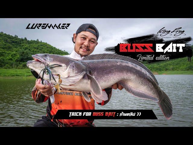 รีวิว KINGFROG BUZZBAIT Limited