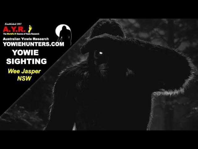 AYR Yowie / Bigfoot Sighting (Audio Report #200) at Wee Jasper, New South Wales