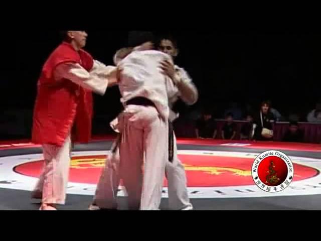 2010 WKO World Kumite Championships Middleweight Semi Final 1