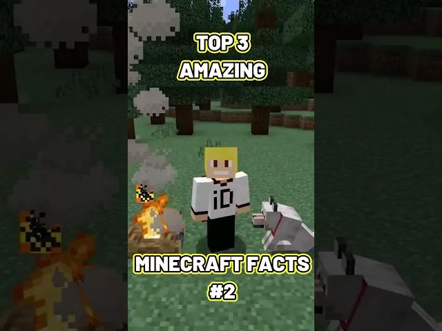 3 Unknown Facts Of MineCraft $2