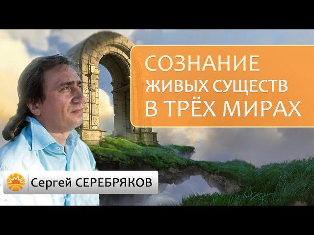 Основные различия сознания живых существ в трех Мирах Вселенной. Сергей Серебряков