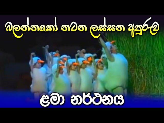 දග කරනා හා පැංචත් මං වගේමලු පෙර පාසල් නැටුම | Daga Karana Ha Panchath Man Wagemalu Per School Dance