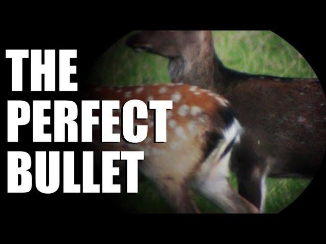 Fieldsports Britain : secrets of a bullet factory