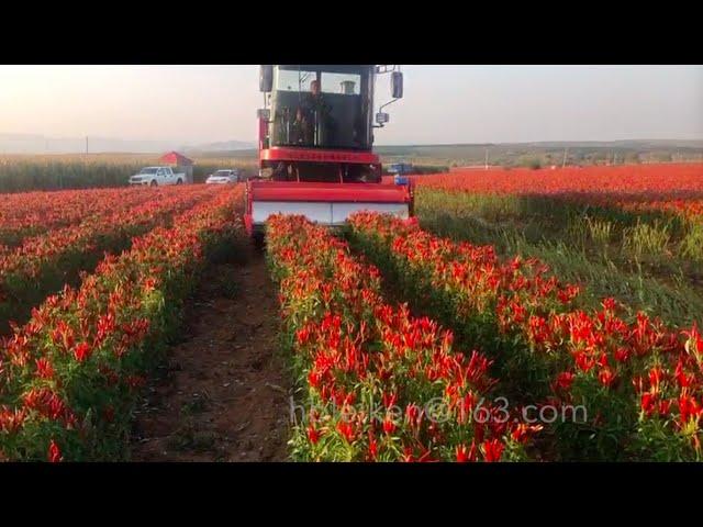 chili harvester hot chilli reaper pick machine red chile pepper