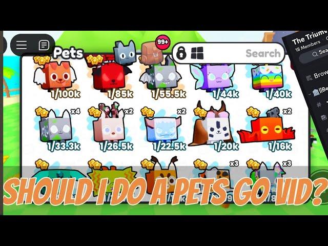 should I do pets go video?