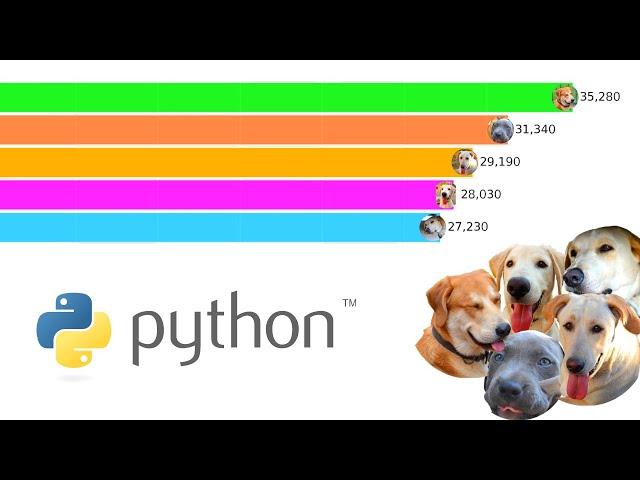 Making Bar Chart Race with Python | Data Science