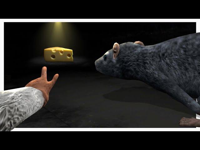 This Game Turned Us Into Rats
