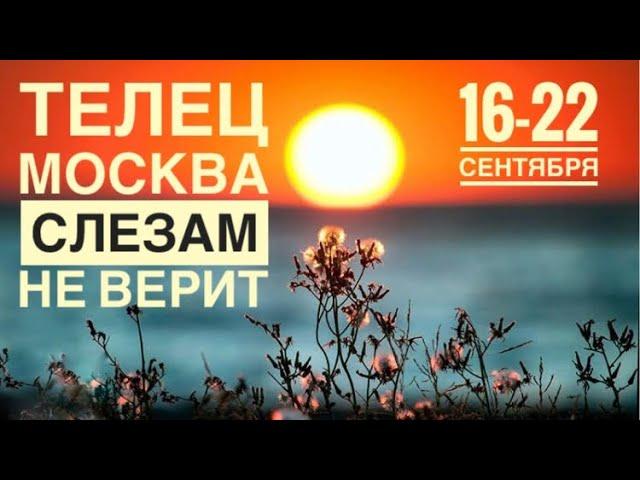 Телец ️ 16-22 сентября 2024 года ️️Таро Ленорман прогноз предсказания