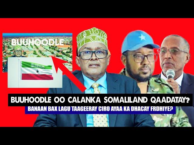 Xog Buuhoodle oo Calabka Somaliland laga taagay iyo Banaanbax lagu Taageeray Guusha Cirro? Firdhiye.