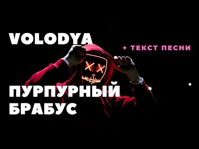 VOLODYA - ПУРПУРНЫЙ БРАБУС