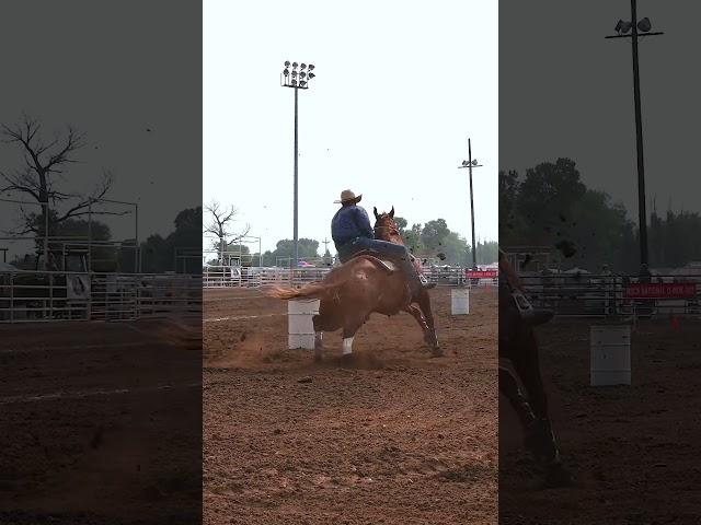 #nsca #omoksee #horse #rodeo #horseshow #western #westernriding #aqha #youtubeshorts #subscribe