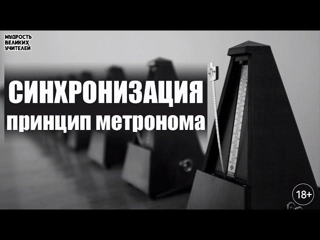 Синхронизация. Принцип метронома - научные факты. Очень интересно