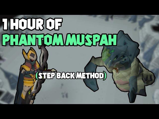 1 Hour of Phantom Muspah Examples (Step Back Method)