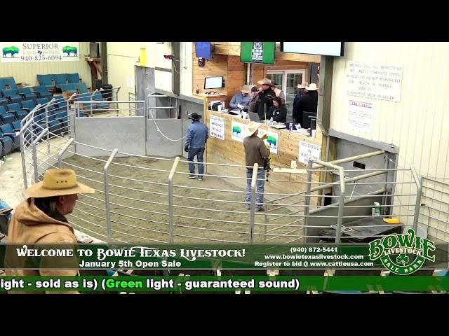 Bowie Texas Livestock January 5th Open Sale!