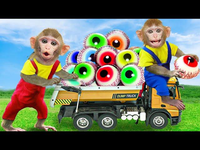 A Day Monkey KiKi Harvests EYEBALL CANDY at the farm | KUDO ANIMAL