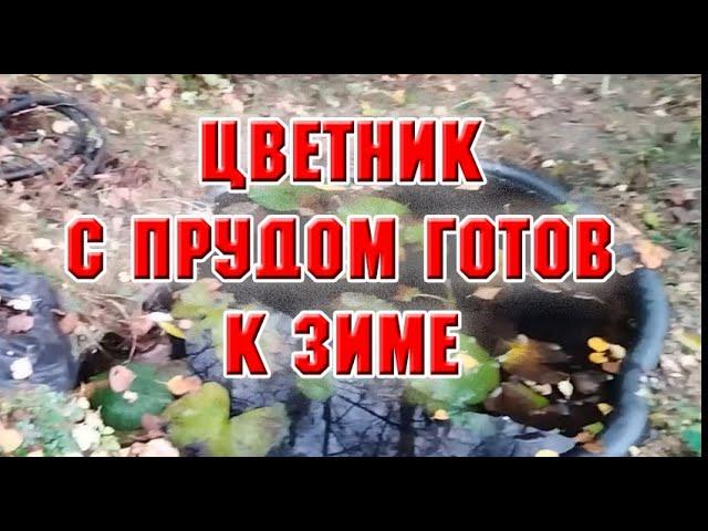 Цветник с прудом вычистила, обрезала все, к зиме подготовила
