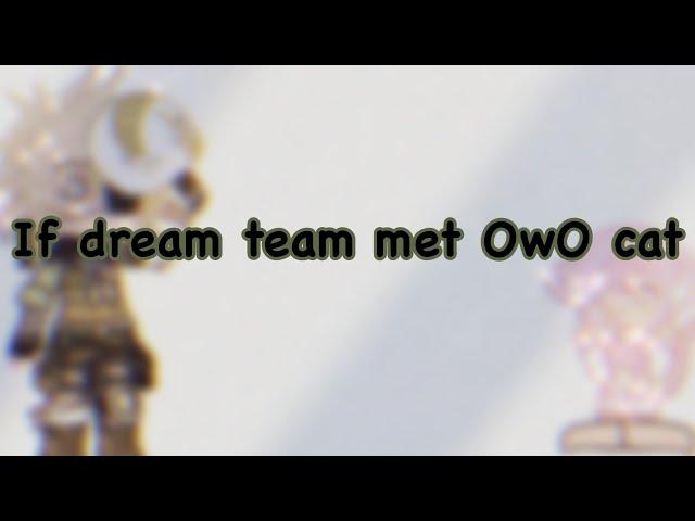 { Dream Team Meet UwU cats...// Funny? Kinda.}