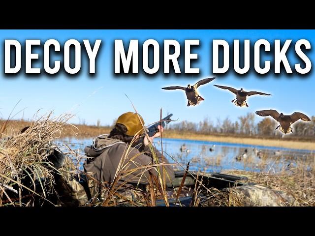 4 TRICKS to DECOY MORE DUCKS