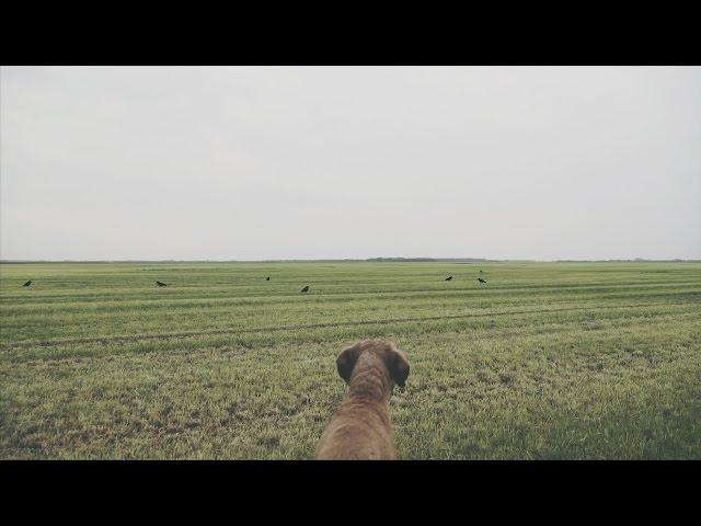 NL Jaagt Aflevering 10 wildreddend maaien, kraaienjacht en zelf hoogzit bouwen