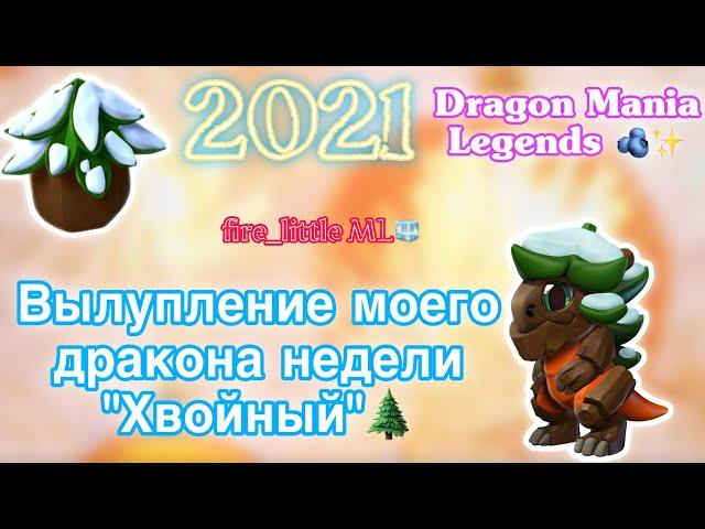 ВЫЛУПЛЕНИЕ МОЕГО ДРАКОНА НЕДЕЛИ «ХВОЙНЫЙ»/ИГРАЮ В ЛЕГЕНДЫ ДРАКОНОМАНИИ/Dragon Mania Legends 