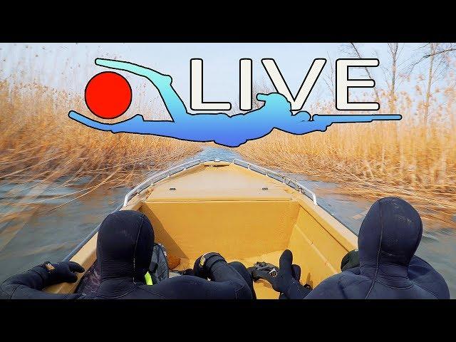 Трейлер канала - Подводная охота I Live