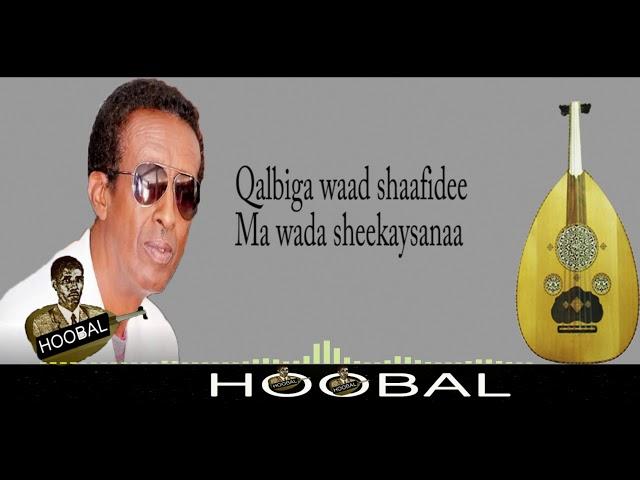 Shucaacii Nuurayaay/Shamis- Maxamed Maxamuud Cige (Busi)|Lyrics