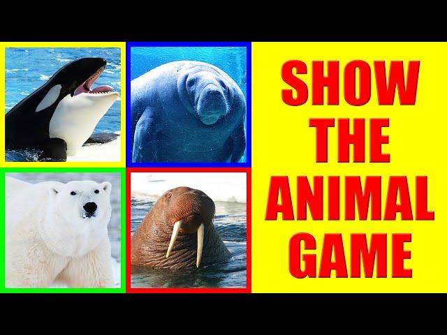 Show me Aquatic Mammals Game for Kids - Where is the Animal?