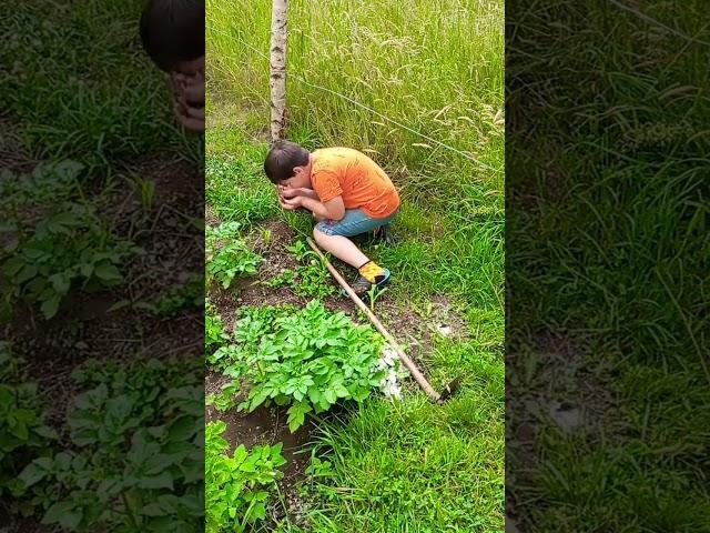 #подписка #село #юмор #болото #картошка #rekomendasi