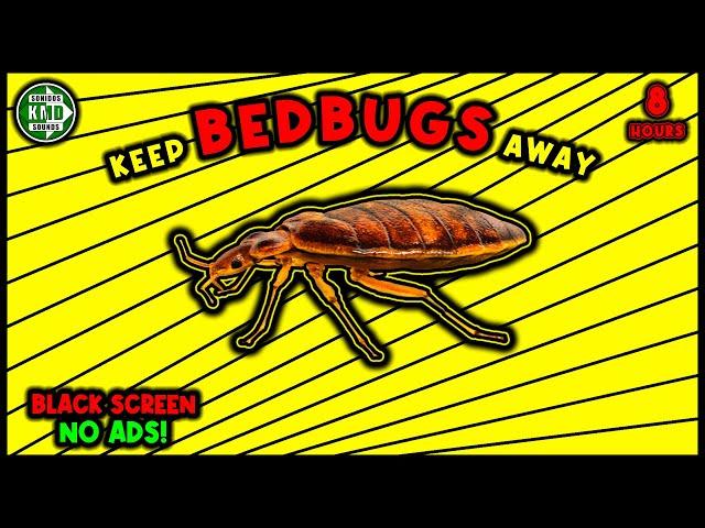 ANTI BEDBUGS REPELLENT SOUND  KEEP BED BUGS AWAY - ULTRASONIC SOUND