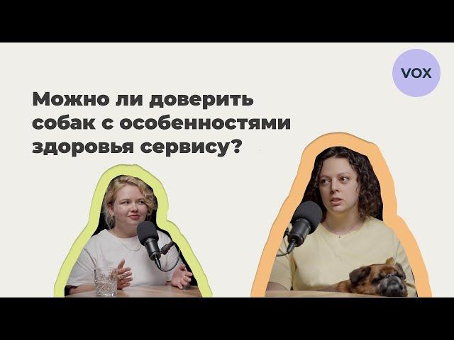 Как жить с тремя особенными собаками и не сойти с ума