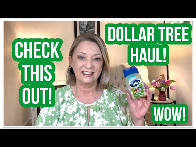 DOLLAR TREE HAUL | Check This Out! | WOW | New Finds | LOVE DT #haul #dollartree #dollartreehaul