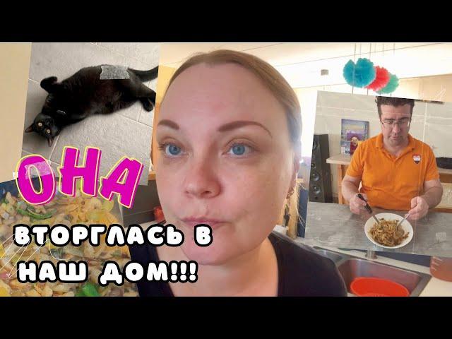 Вторжение ЧЁРНОЙ СОСЕДКИ | Готовлю паназиатский WOK | Продуктовый магазин в Нидерландах | ВЛОГ