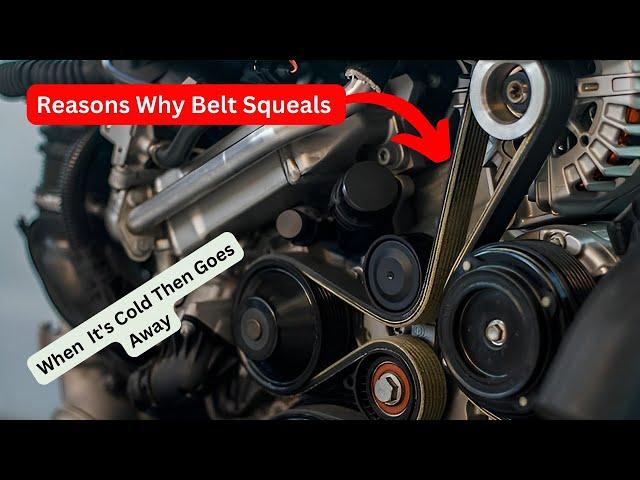 Reasons Why Belt Squeals When Cold Then Goes Away