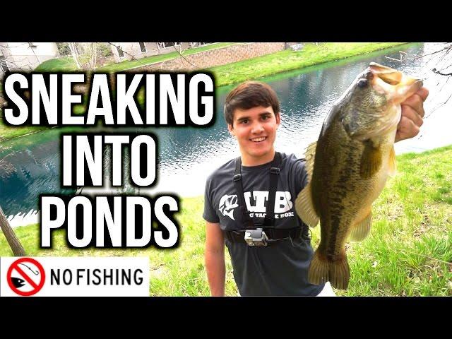 SNEAKING into Ponds for Spring Bass - VLOG