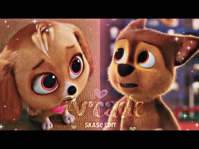 Chase and Skye - Arcade [PAW Patrol: The Mighty Movie] 🩷