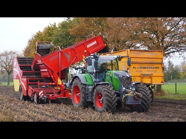 2024 | Fendt 728 + Grimme | Potato harvest | Van Donkersgoed BV | Harvesting potatoes | Uddel (NL)