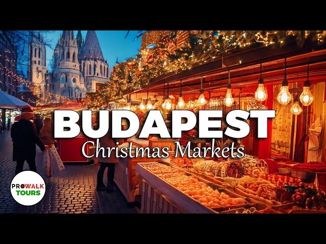 Budapest's Most Beautiful Christmas Markets Tour  | Explore St. Stephen’s Basilica & Festive Lights