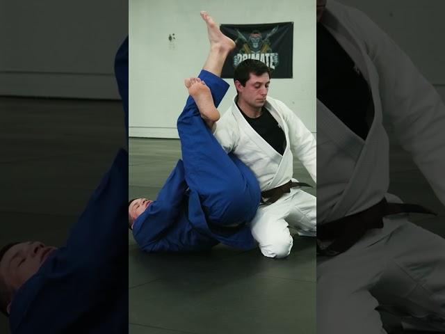 Omoplata | Submission Or Sweep! - Pick Your Poison
