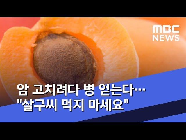 암 고치려다 병 얻는다…"살구씨 먹지 마세요" (2019.06.04/뉴스데스크/MBC)