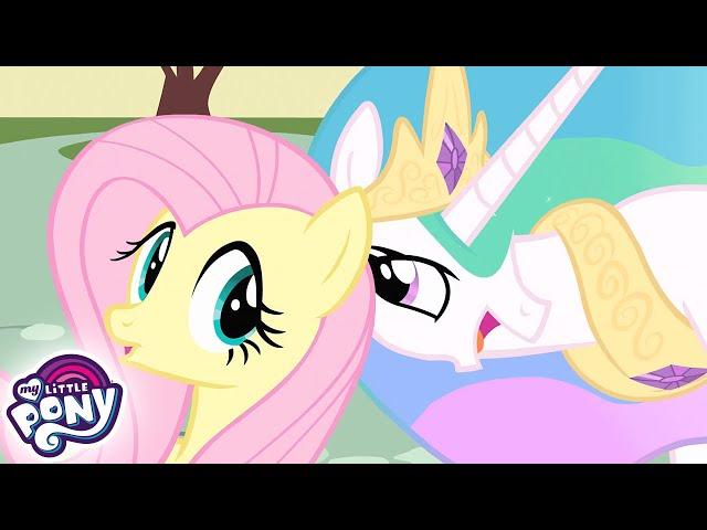 My Little Pony Deutsch  Celestias Haustier | Freundschaft ist Magie | Ganze Folge | MLP