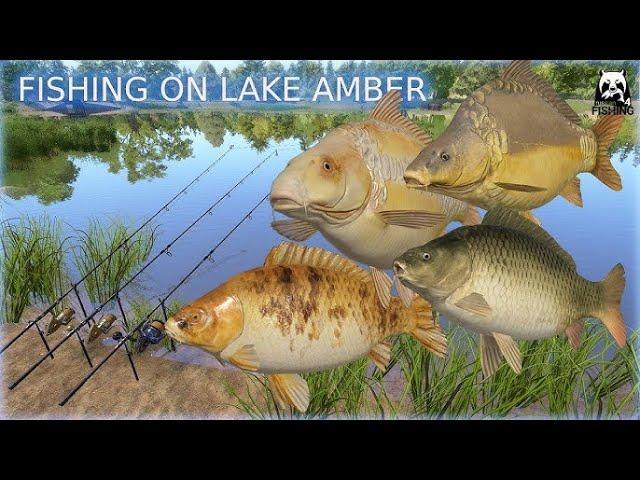 Russian Fishing 4 ! Insane Spot on Amber Lake  Rare Fish (No PVA)