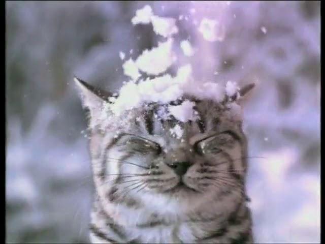 Музыка из рекламы Whiskas - Новогодняя (2012)