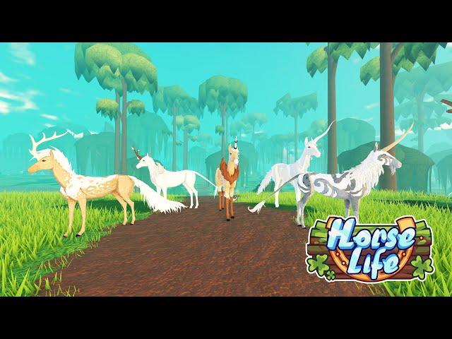 NEW Horse Life Traits Update Crossbreeding & Size Logic Explained!