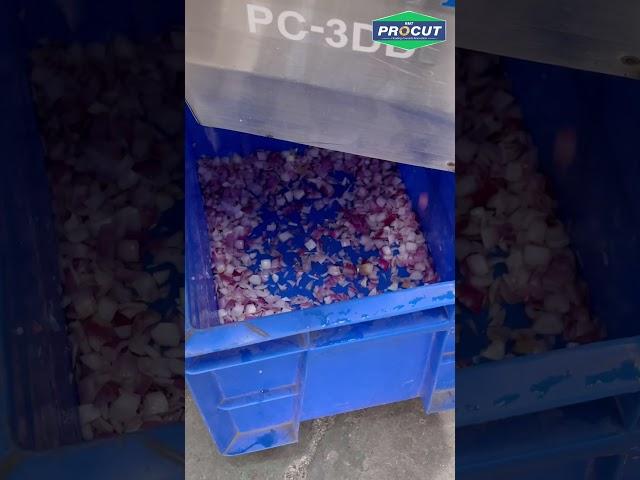 Onion Dicing Machine/ Onion Dicer/ Onion Cutting Machine/ Onion Chopper/ Onion Slicer Machine#shorts
