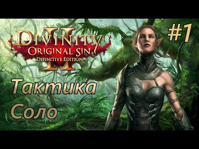 Прохождение Divinity: Original Sin 2 [Definitive Edition]. Тактика. Соло. #1