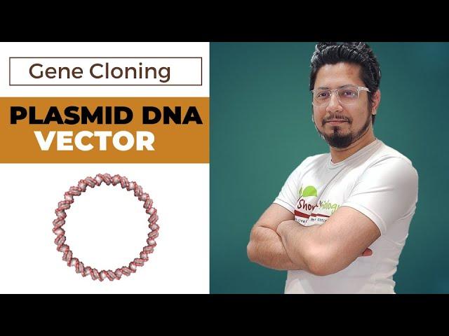 Plasmid DNA vector in gene cloning | plasmid vector | pbr322 vector | puc 19 vector